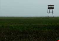 پناه گاه حیات وحش میانکاله