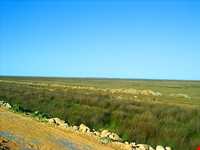 پناه گاه حیات وحش میانکاله