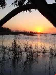 پناه گاه حیات وحش میانکاله