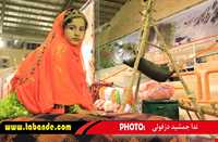 ضربالمثل‌های بختیاری