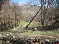 Asadiyeh Cholicheh Castle