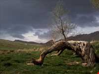 Asadiyeh Cholicheh Castle