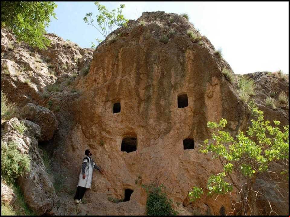 Bord Goriha ( Stone cells )