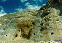 Bord Goriha ( Stone cells )