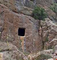 Bord Goriha ( Stone cells )