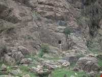 Bord Goriha ( Stone cells )