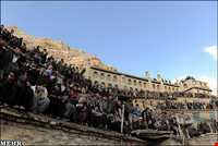 زبان و گویش مردم کردستان