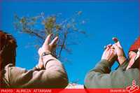 زبان و گویش مردم کردستان