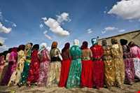 زبان و گویش مردم کردستان