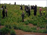 منطقه کوهرنگ بختیاری