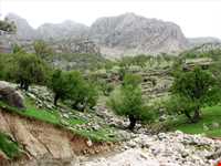 منطقه بازفت