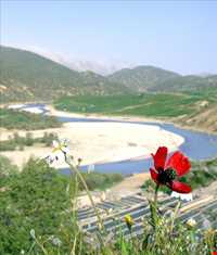 منطقه بازفت