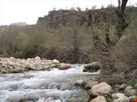 منطقه بازفت