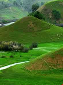 منطقه بازفت