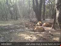 Semeskandeh Wildlife refuge