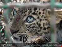 پناهگاه حیات وحش سمسکنده