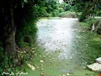 Semeskandeh Wildlife refuge