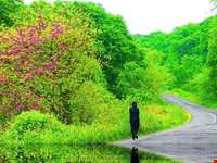 Semeskandeh Wildlife refuge