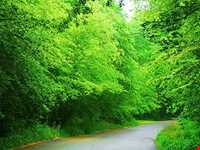 Semeskandeh Wildlife refuge