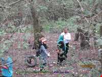 Semeskandeh Wildlife refuge