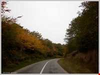 Semeskandeh Wildlife refuge