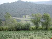 Semeskandeh Wildlife refuge