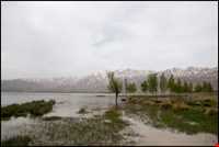 تالاب چغاخور