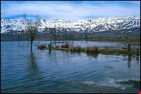 تالاب چغاخور