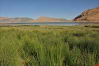 تالاب چغاخور