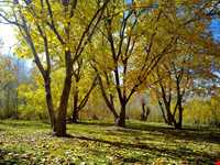 تالاب چغاخور