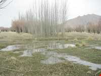 تالاب گندمان