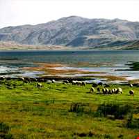 تالاب گندمان