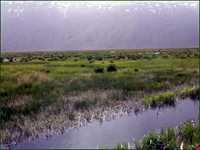 تالاب گندمان