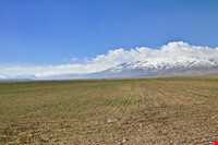 تالاب گندمان