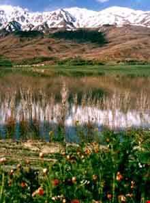 تالاب گندمان