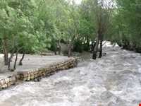 Pireghar Inscriptions