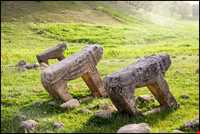 شیر سنگی ( برد شیر )