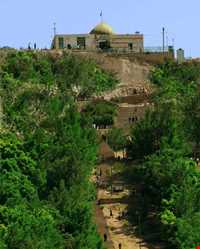 امامزاده حمزه بن علی