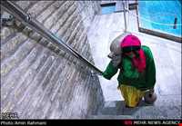   Language and dialect