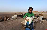 Language and dialectic