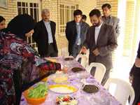 Language and dialectic