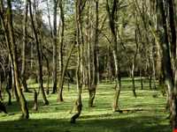 Natural Park of Chaloos