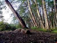 Natural Park of Chaloos
