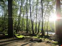 Natural Park of Chaloos