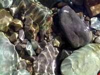 رودخانه شور ( ابهر رود )