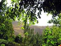 امامزاده محمد نوربخش