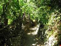 امامزاده محمد نوربخش