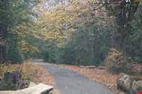 پارک جنگلی سی سنگان