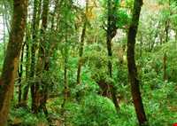 پارک جنگلی سی سنگان