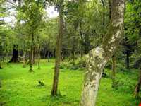 پارک جنگلی سی سنگان